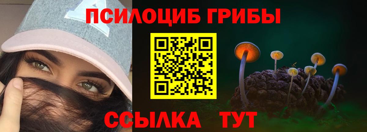 Галлюциногенные грибы мухоморы  Галлюциногенные грибы Psilocybe  Воркута  Вход с VPN 